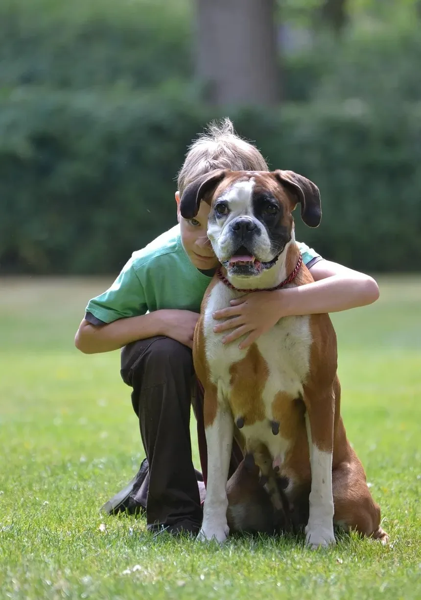 Como Prevenir Doenças em Cães: Dicas Essenciais para Proprietários de Animais de Estimação